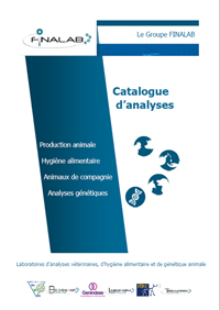 Image Catalogue